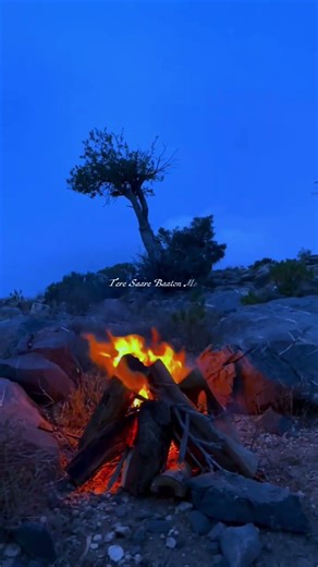 𝗧𝗲𝗿𝗶 𝘀𝗮𝗮𝗿𝗶 𝗯𝗮𝗮𝘁𝗼𝗻 𝗺𝗲𝗶𝗻💗💫|| #love #explore #song #lovesong #lovemusic #trendingsong #like #aesthetic