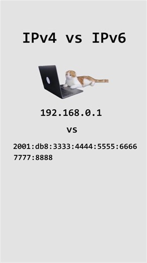 coding.kitty on Instagram: "IPv4 vs IPv6, explained by cats. #ip #cat #software #internet #coding"