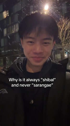 Exploring the Meaning Behind 'Shibal' and 'Sarangae' in Korean