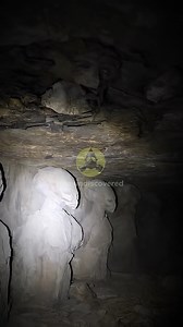 #expedition #ufología #extraterrestrial #antarcticasecrets #ufoキャッチャー #ufology #mysteriouspyramid #theundiscovered #ufologia #ufoロボグレンダイザー #ufosighting #Unexplained #UFO | the undiscovered