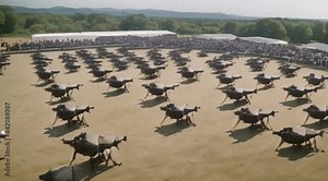 A drone swarm providing surveillance for a large event.