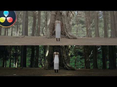 How to get The Ring look | DaVinci Resolve 16 Tutorial