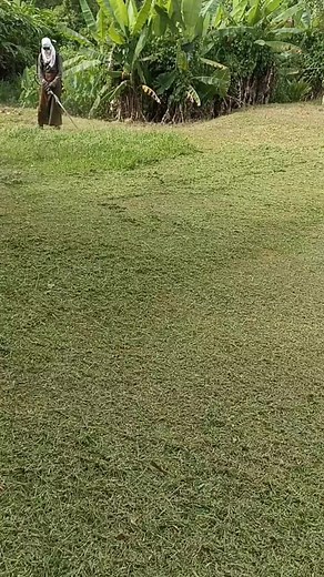 #potongrumput #viralvideo #garscuting #shortsvideo