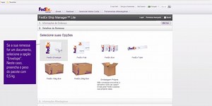 Você conhece o FedEx Ship Lite? Este serviço é utilizado para remessas internacionais com peso inferior a 68 kg. Assista ao vídeo com o passo a passo de como usar a ferramenta em nosso site. | FedEx