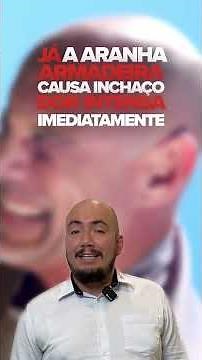 Picada de aranha, como agir?