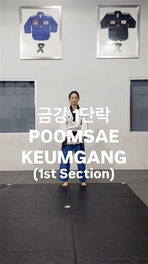 🥋금강 1단락, POOMSAE KEUMGANG 1st SECTION #sport #martialarts #taekwondo #women #practice