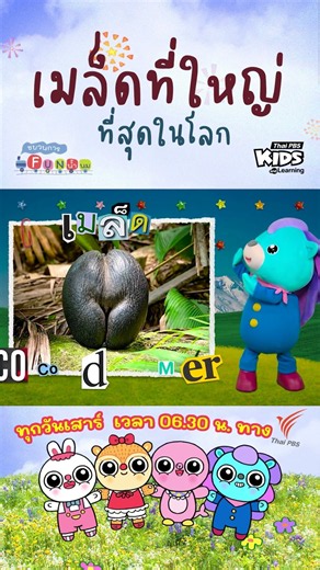 เด็ก ๆ รู้ไหม ? เมล็ดอะไรใหญ่ที่สุดในโลกกกก 🌎 | #ขบวนการfunน้ำนม #ThaiPBSKids #shorts