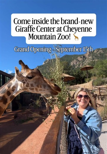A first look inside the brand-new Giraffe Center at the Cheyenne Mountain Zoo! Opening September 15th 🦒✨ I loved learning about all the little details that went into creating this space — even sourcing thousands of pounds of tree branches from the local community for the giraffes to browse. 🌿 Send this to someone you want to take here and follow for more! 🦒 #coloradospringsco #cheyennemountainzoo #girrafe #coloradoadventures #coloradosprings