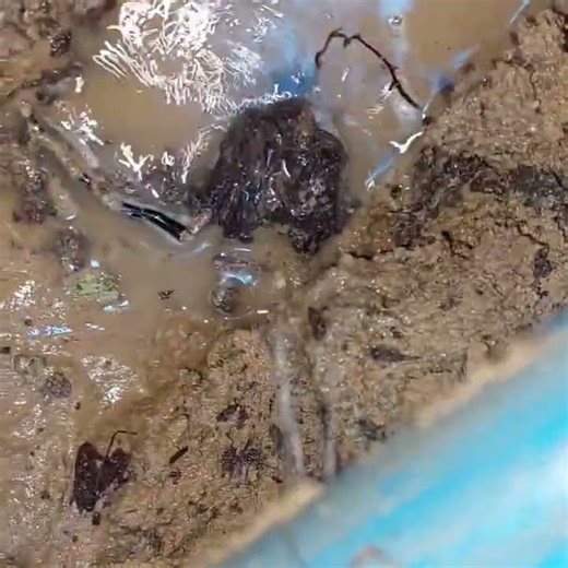 #plumber #plumbing #waterleak #pipedrive #boots