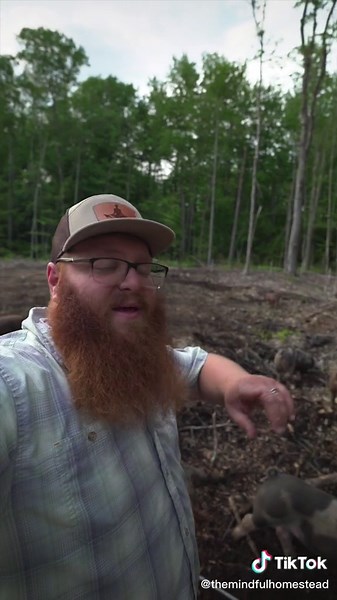 Raising Pigs on Pasture Without Permanent Fencing | Farming Tips