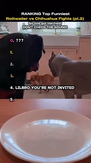 DONT CHECK THE SOUND 💀💀✅