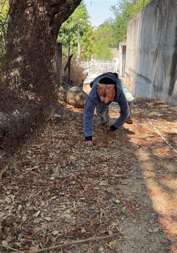 Nahuales: Humor en Tiempos Pasados