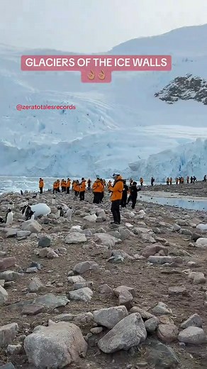 Exploring the Glaciers and Penguins of Antarctica