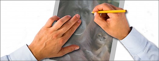 Tracing Art - Is It Good or Bad? When Is Tracing Cheating and Is It Ever OK?