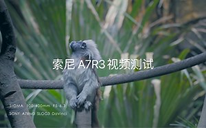 索尼A7R3视频能力测试