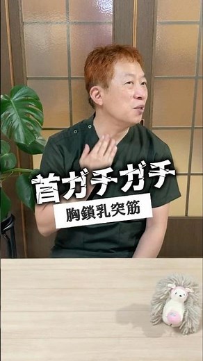 胸鎖乳突筋ガチガチな人｜鍼灸と健康の情報
