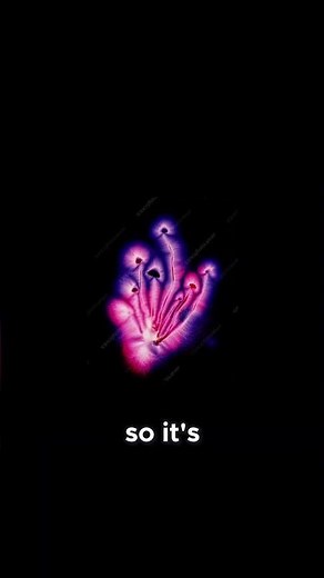 Kirlian photography