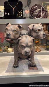 219 reactions · 15 shares | So lifelike! Recreated in unprecedented realism, HARRY POTTER™ FLUFFY Portrait Figure is the most recent addition to our Magical Creatures collection. Thanks for sharing, @thehalfbloodcollector. Click to shop: https://bit.ly/4i2EpTL #HarryPotter #Hogwarts #Potterhead | The Bradford Exchange | Facebook