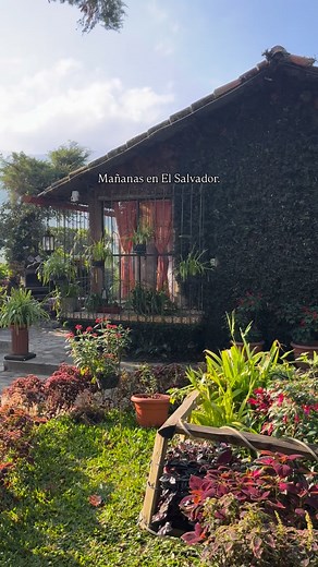 Despertar aqui es dificil de describir. 🍊 📍Los Naranjos Town Houses, Juayua, El Salvador #losnaranjostownhouses #elsalvador #beautifuldestinations #beautifulhotels #elsalvadortravel | Los Naranjos Town Houses