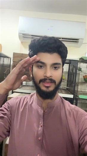 Lovebird Companionship: A Journey of Affection