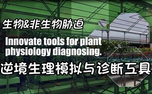PlantArray逆境模拟及植物生长监测系统
