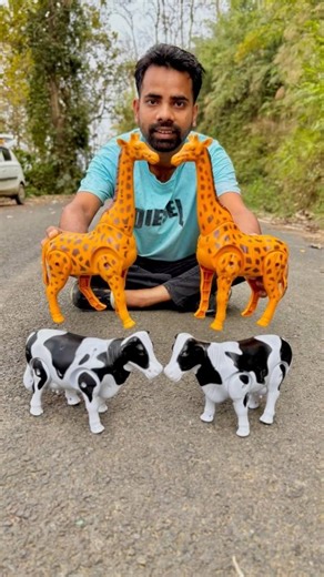 Remote Control 2 Ta Cow And Rc 2 Ta Giraffe Unboxing #animals