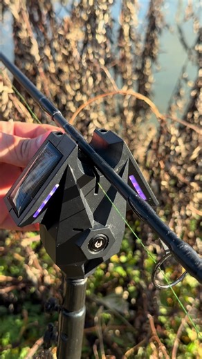 Tutorial su come non sfruttare l’avvisatore più tecnologico al mondo 🤪