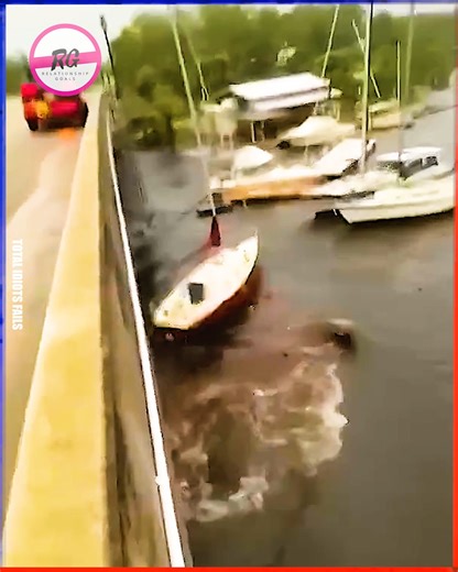 293K views · 1K reactions | Boat Fails || Funny Videos | Relationship Goals | Facebook