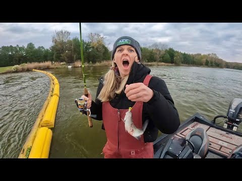 Anglers catch multiple stripers using jigs and live shad for tacos