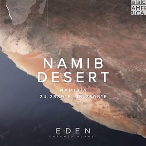 Journey through the expansive Namib desert. #Eden: Untamed Planet premieres July 24th on BBC America, AMC, and AMC Plus. | BBC America