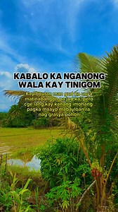 1.4K views · 37 reactions | Nganong wala kay tinigom #hugotnialger | Alger Hasim | Facebook