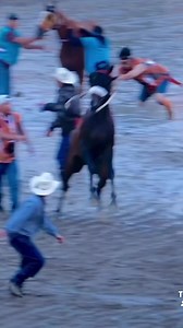 613K views · 10K reactions | #nativeamerican #indigenous #jingledress #sioux #cree #culture #dancing #navajo #powwow #viral | Native American Old Photo | Facebook