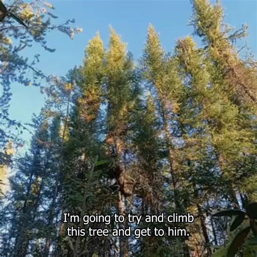 Tune in to an all-new episode of Alone, tonight at 10EP on The HISTORY Channel. Stream on STACKTV #AloneOnHistory | HISTORY