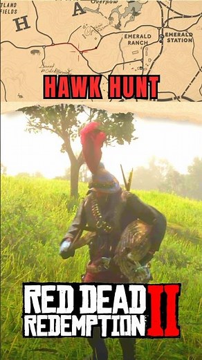 Hawk Hunt for outfit | #rdr2 #reddeadredemption2 #rockstargames #arthurmorgan #gta6 #gaming #shorts