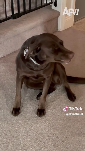 Who's the Culprit? Solving the Mystery