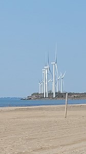 It always tugs at my heartstrings to take down the illusions. If these paintings were human, I’d compare them to a kid digging in their heels, not wanting to leave the playground. In the end, it’s like ripping off a bandaid. I close my eyes, brace myself, and move the illusion. Doing so means admitting I’m finished and accepting that I’ve done my best, often under challenging lighting conditions. No more "final touches"; it's time to move on to the next illusion. In this case, the illusion almos