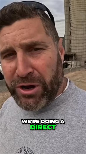 Welcome back to the farm! We've got new bulls, and we're ripping out the belt feeder for direct dump feeding. Join us for a day of farm work and animal updates! #FarmLife #Cattle #Bulls #Agriculture #FarmWork | Siegler Dairy Farm