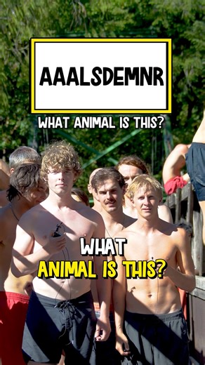 1.9M views · 10K reactions | What Animal Is This? 11 #diving #hangingout | Hanging Out | Facebook