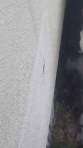 166K views · 1.3K reactions | Allegation via Inbox: "Misawa played the squid games song over the base intercom system." | Air Force amn/nco/snco | Facebook