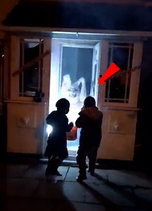 Not Alone… Watch These Eerie Moments! 👻💀 | Tiffany Rothe Workouts