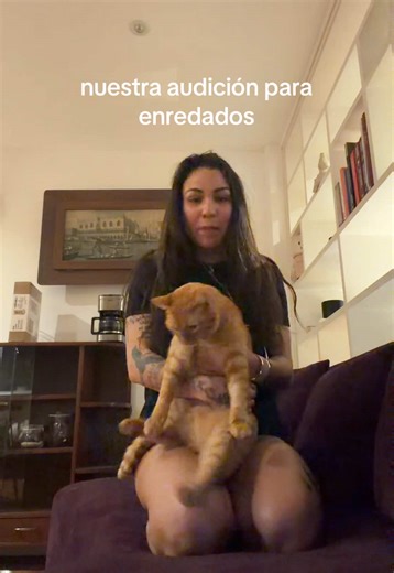 buscamos trabajo. | Job Application