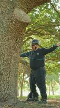 The Base Anchor Trick Every Arborist Should Know