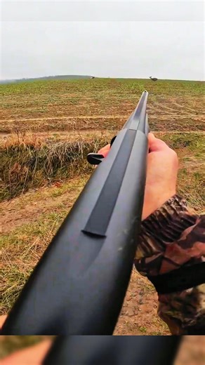 Two Deer Hunting – 4 Shots Fired | 2 Perfect Hits & 2 Missed | Intense Hunting Moment