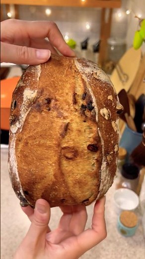 レーズンとクランベリーのサワーブレッド#sourdoughbread #🍇#ヨーグルト酵母入り #homemade #baking #ショート #shorts