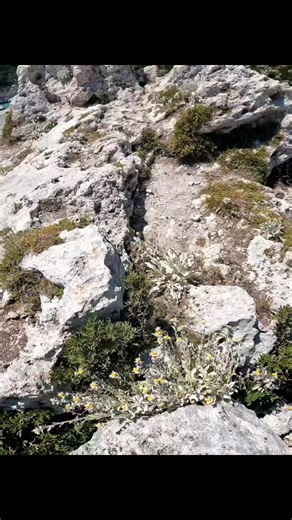 Exploring the Beauty of Vlora, Albania: A Must-Visit