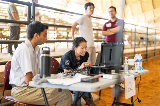 CC - Research - Texas A&M Institute for Equine Sciences