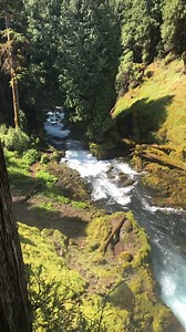 22 reactions | Brought to you by Sahalie Falls in the West Cascades of the Willamette Valley. Find this 100-foot-tall waterfall on an easy, 2.6-mile loop that also passes Koosah Falls. Yep, that's a two for one. | Willamette Valley - Oregon Wine Country | Facebook