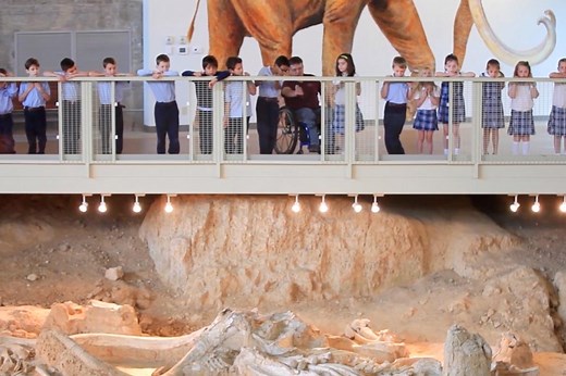 Dinosaurs In Texas | Preserved Tracks & Fossils