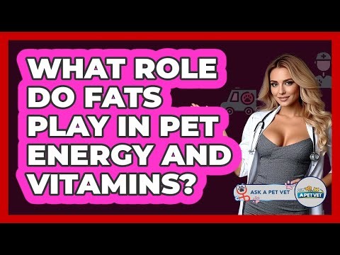 What Role Do Fats Play In Pet Energy And Vitamins? - Ask A Pet Vet