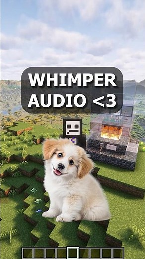 Whimper Audio